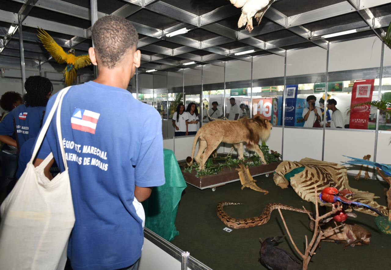 Leão, vísceras e ciência: museu mostra como são os animais por dentro