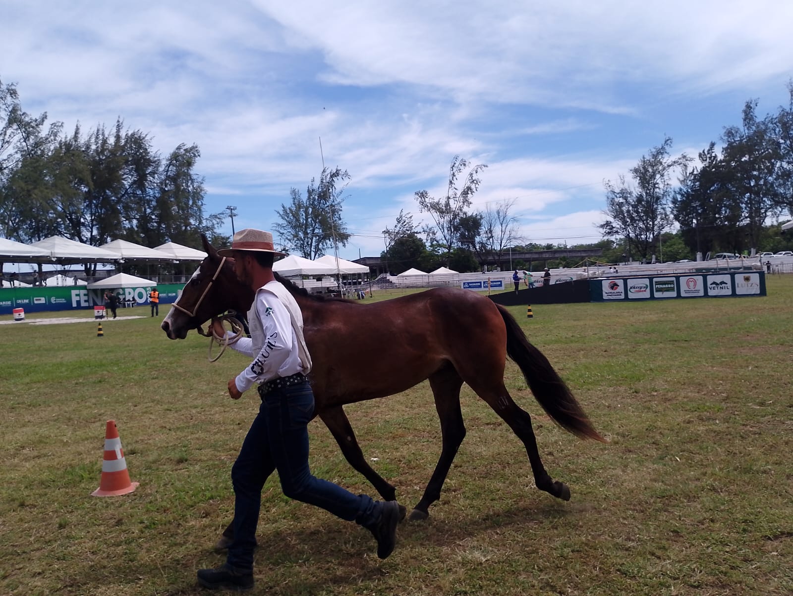 Primeiro campeonato: potros Mangalarga dão show na Fenagro 2025