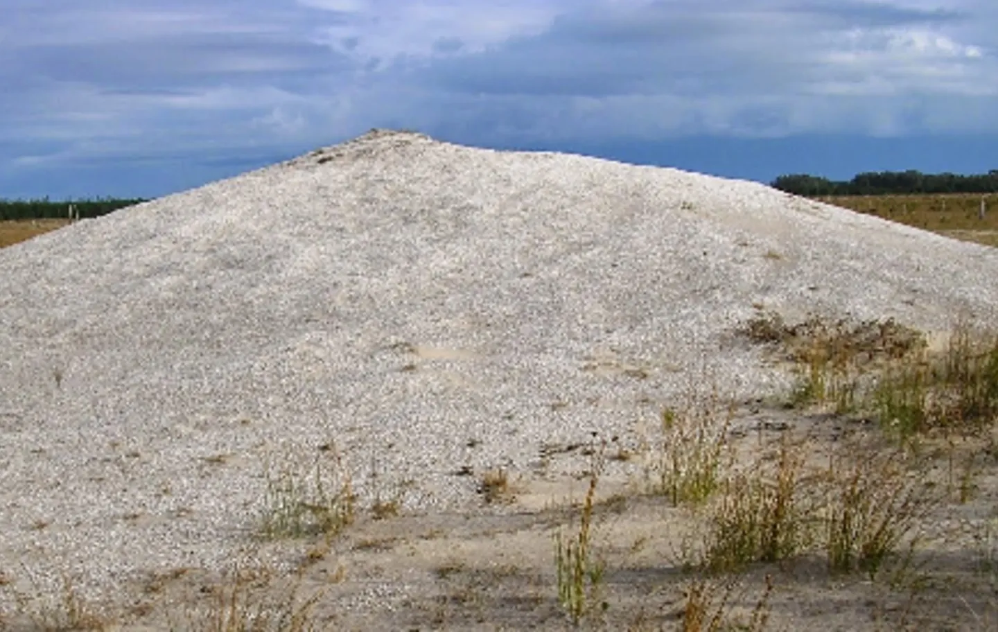 Os sambaquis são montes de conchas e restos de esqueletos de animais que serviam de urnas funerárias para povos que habitaram o litoral de 8000 a.C. a 2000 a.C.  