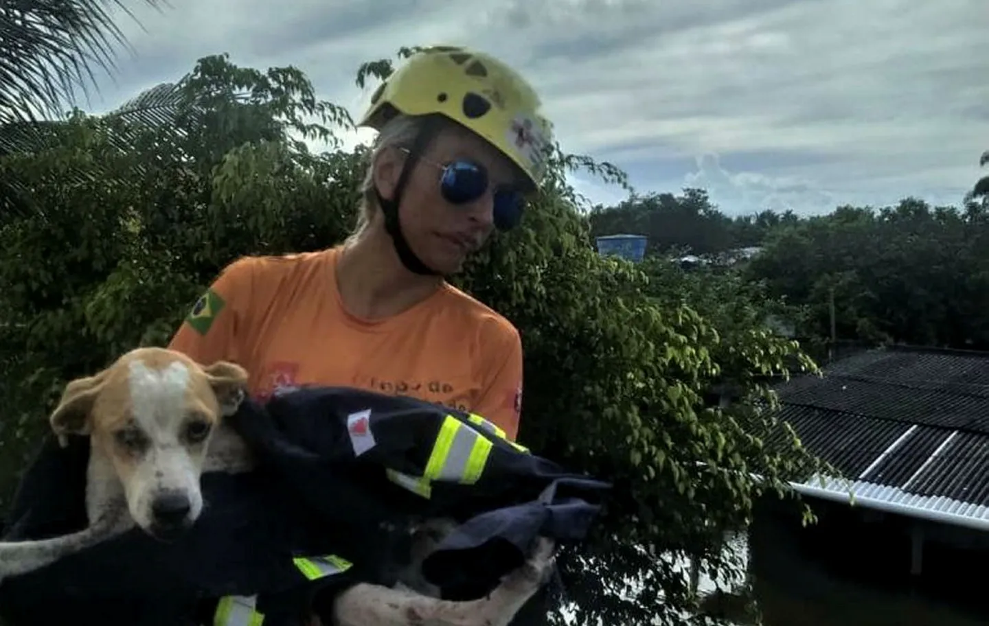 Animais afetados pela inundação foram resgatados