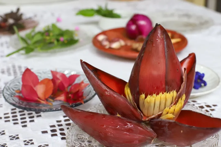 As plantas PANCS produzem pratos deliciosas, como o coração da bananeira