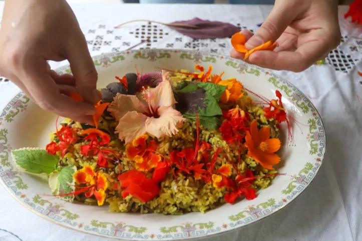 Dentre as PANC's usadas por Tiago no arroz estão a chanana, o hibisco, o malvavisco, e o cosmo