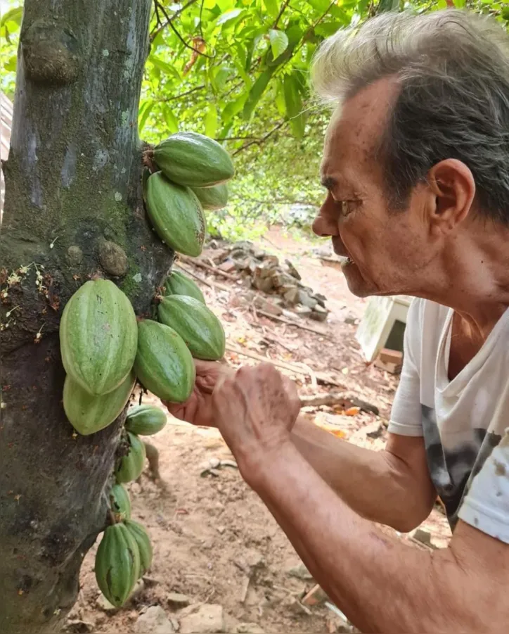 Beto Pimentel em seu pomar