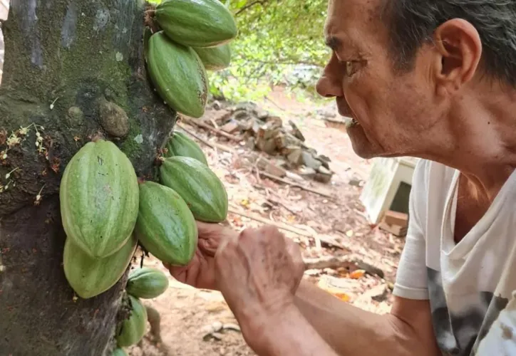 Beto Pimentel em seu pomar