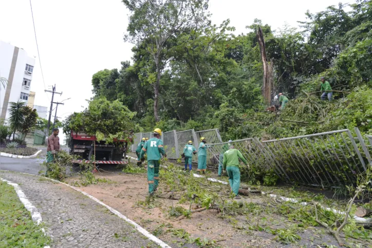 Em Ondina, na rua Edgar Mata, houve um registro de uma queda de uma árvore