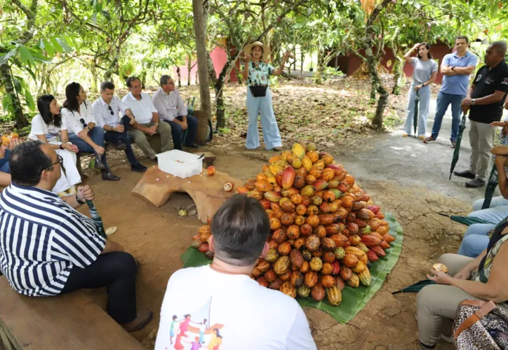 Imagem ilustrativa da imagem Paixão por queijo faz empresária trazer um pedaço da Suíça a Salvador