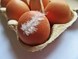 Imagem ilustrativa da imagem O ovo carrega consigo uma história controversa e repleta de simbolismo