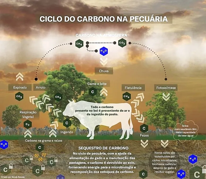 Imagem ilustrativa da imagem Produção pecuária "carbono neutra" já é realidade