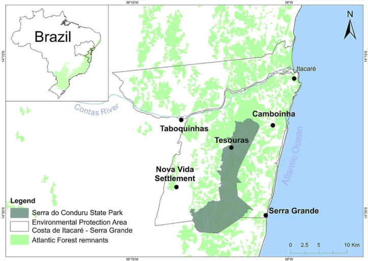 Veja área do Parque Estadual da Serra do Conduru (PESC)