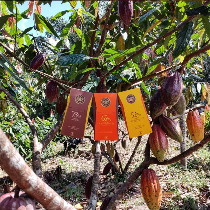 Marca de chocolate Bonino, do Sul da Bahia