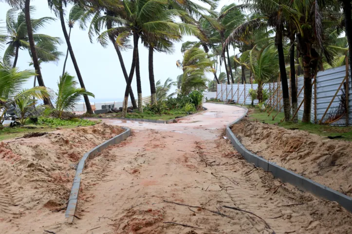 SALVADOR 
Moradores da praia do flamengo criticam a requalificação do local pela prefeitura que está desmatando o que resta da vegetação de restinga.
Foto:Denisse Salazar /AG. A TARDE
Data: 09/06/2023