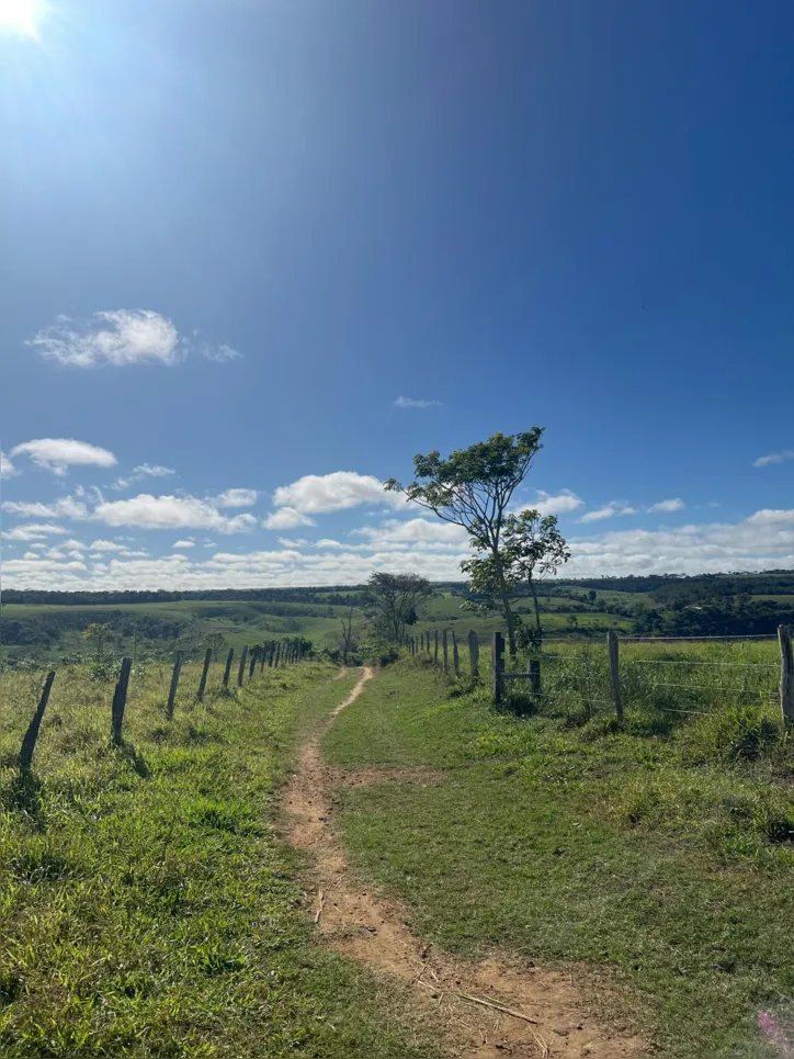 As trilhas do Caminho de Santiago do Piripiri cortam fazendas e serras