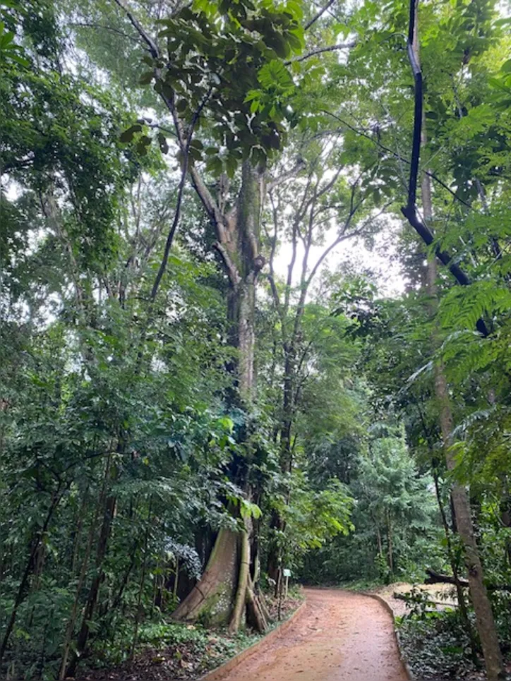 Na trilha dos Oitis você pode caminhar e contemplar a beleza do local