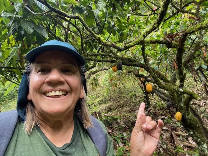 Caminhando você consegue observar de perto as maravilhas da natureza