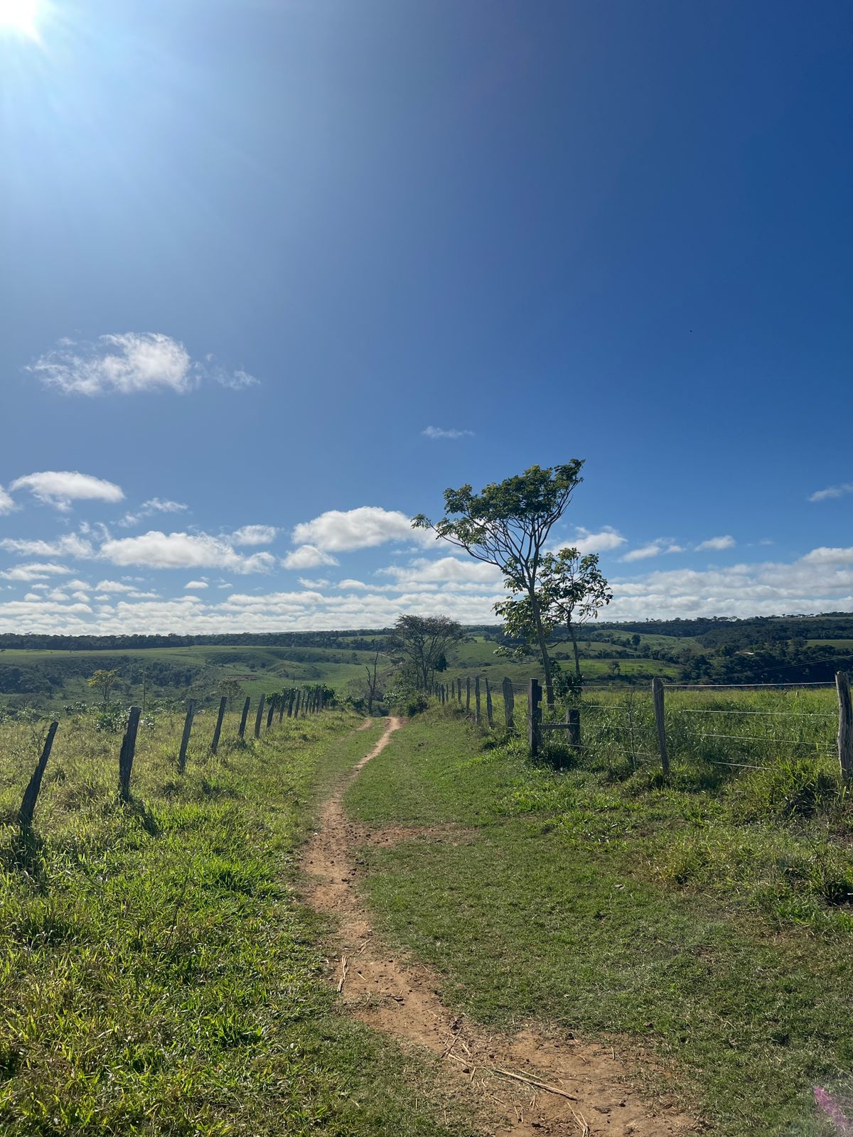 As trilhas do Caminho de Santiago do Piripiri cortam fazendas e serras