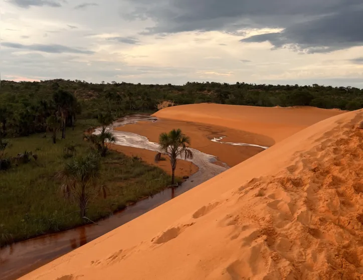 O conjunto possui um lago cristalino rodeado de buritis, vegetação comum no Jalapão