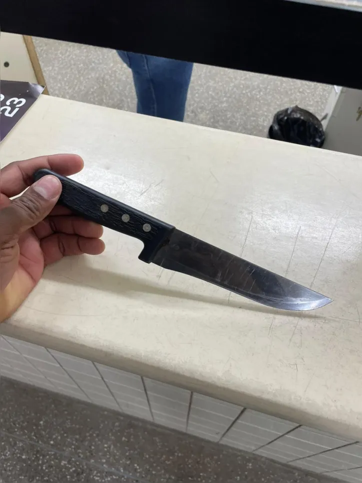 Imagem ilustrativa da imagem Mulher invade delegacia e esfaqueia dois policiais em Abrantes