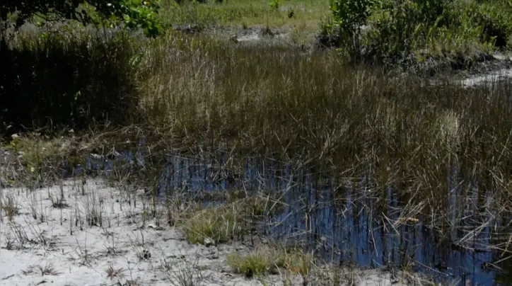 No campo interditado a contaminação é visível