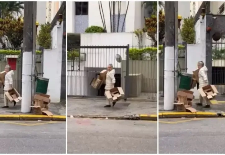 Imagem ilustrativa da imagem Vídeo: Fora da TV, Regina Duarte é flagrada catando papelão em SP