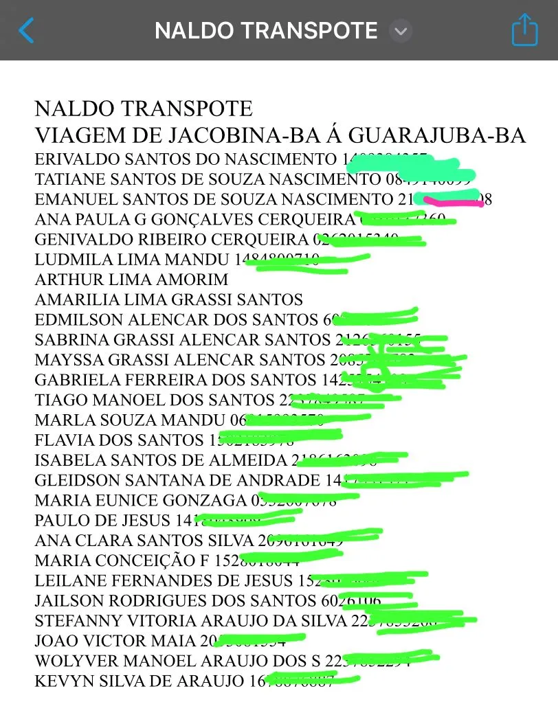 Imagem ilustrativa da imagem Veja a lista de passageiros que estava em micro-ônibus de Jacobina