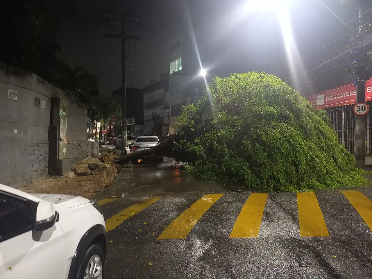 Imagem ilustrativa da imagem Vídeo: Chuvas causam queda de árvore e transtornos em Salvador