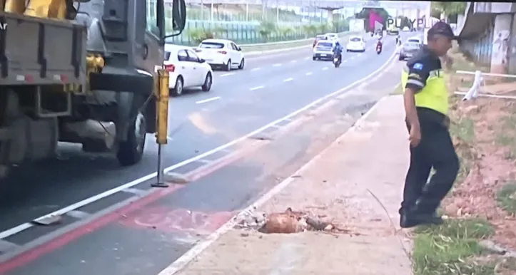 Imagem ilustrativa da imagem Carro derruba poste na Avenida Caribé e trânsito fica lento na região