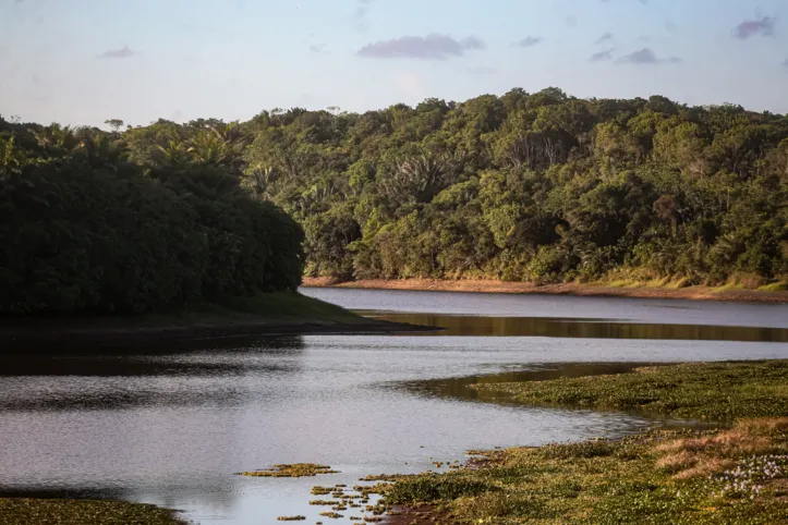 Lagoa do Parque Metropolitano de Pituaçu