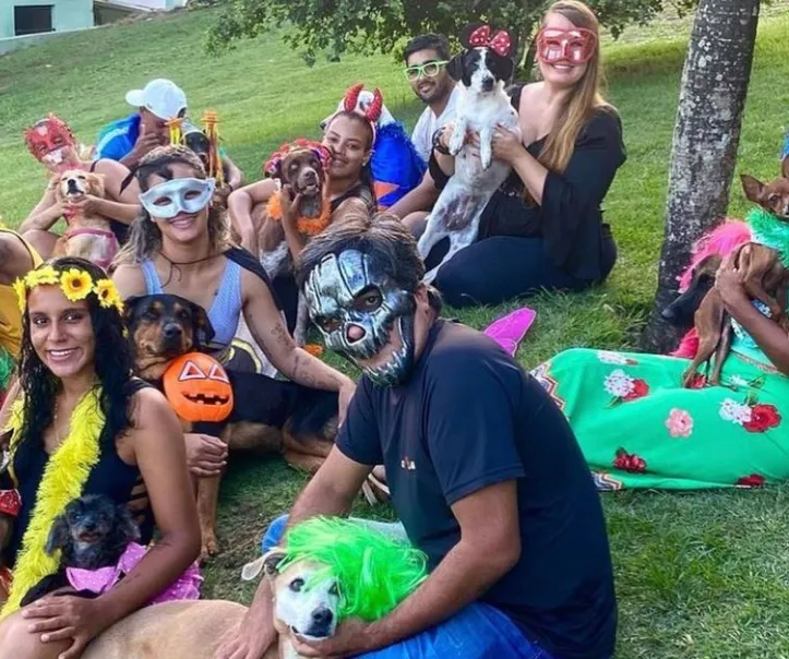 Imagem ilustrativa da imagem Doguinhos também podem curtir o lado lúdico do Carnaval