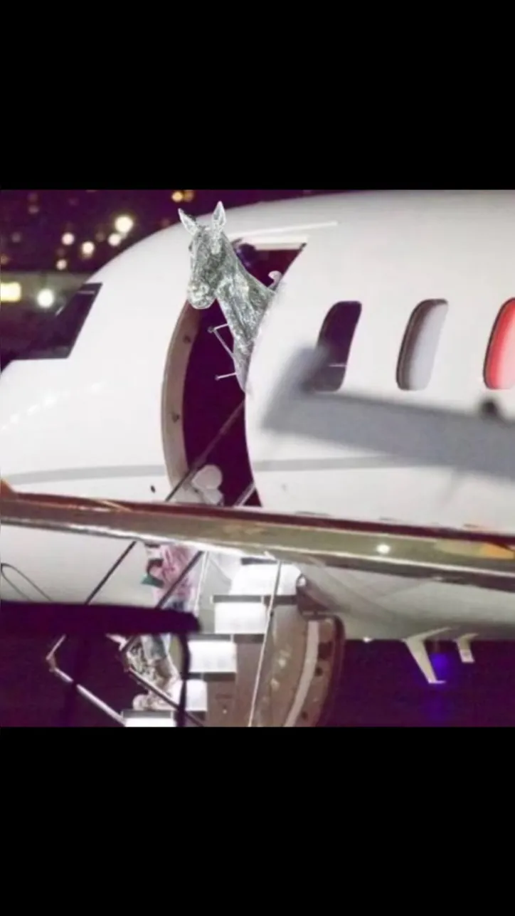 Imagem ilustrativa da imagem Ela vem? Beyoncé posta foto enigmática de avião