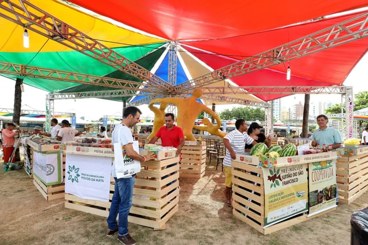 A programação conta ainda com a realização da 1ª Feira Agroecológica da Bahia