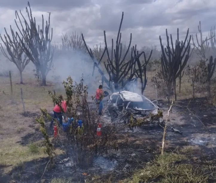 Imagem ilustrativa da imagem Médica morre carbonizada após carro colidir com outro na BA-120