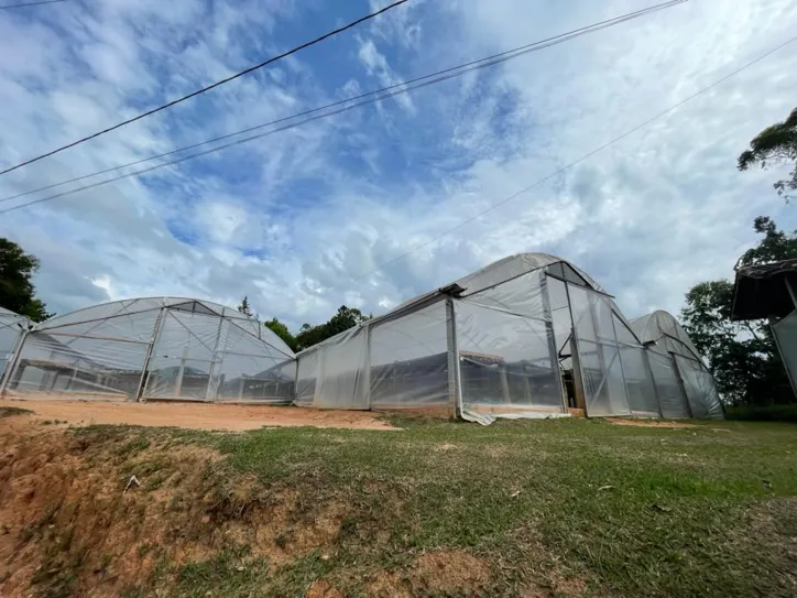 Espaço da Fazenda Camocim para produção de café