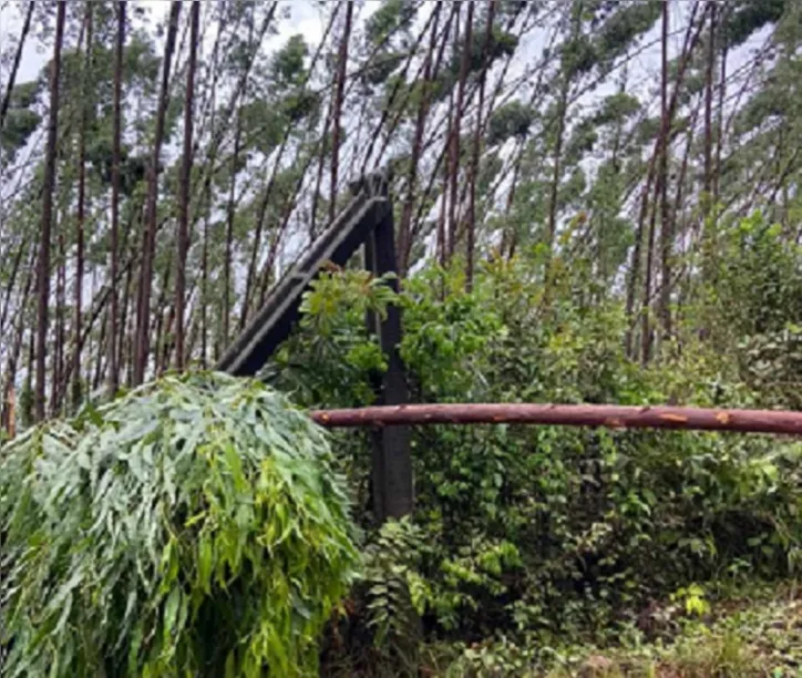 Imagem ilustrativa da imagem Moradores de cidade baiana denunciam falta de água há 3 semanas