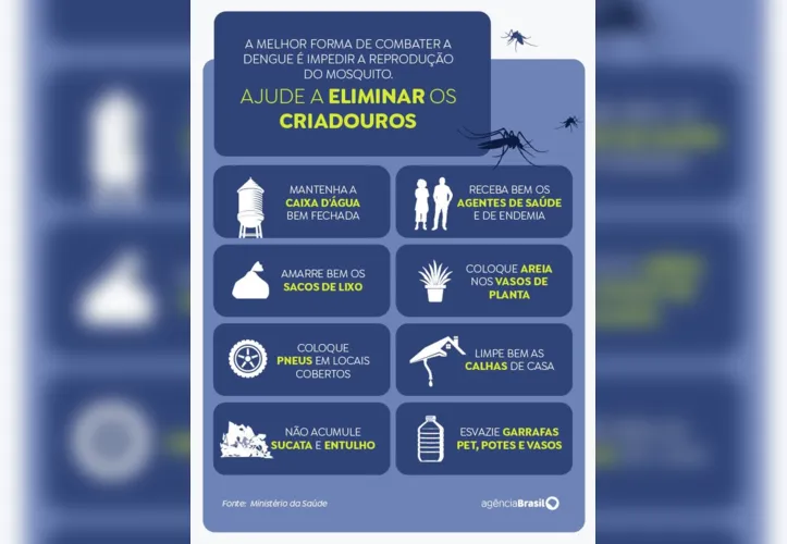 A melhor forma de combater a dengue é impedir a reprodução do mosquito
