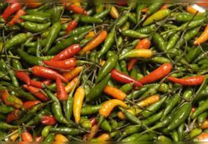Imagem ilustrativa da imagem Desafiadora, a pimenta se espalhou pelo mundo cativando culturas