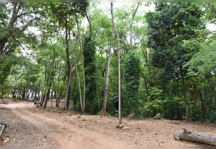 O parque servirá para a preservação ambiental em Salvador, na Mata Escura, situado nas proximidades da Estrada das Barreiras