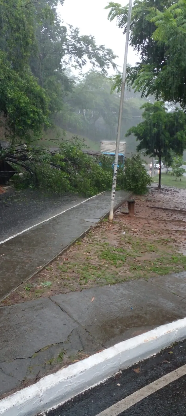 Trânsito ficou completamente interrompido no local