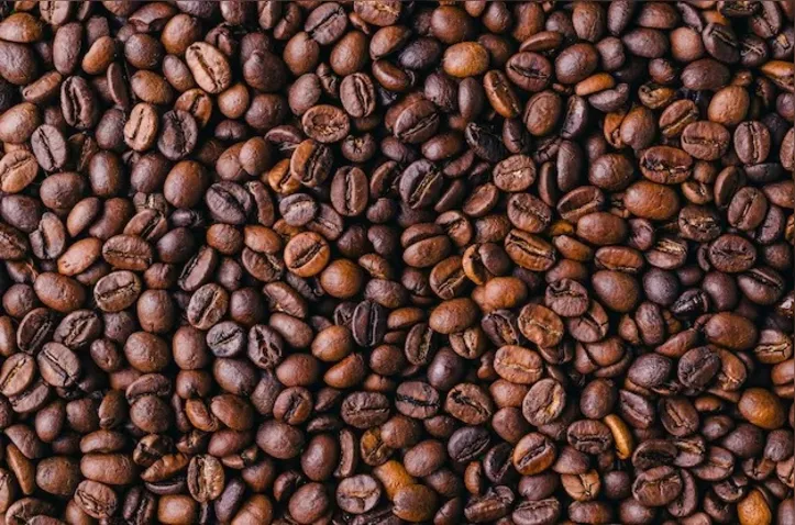Imagem ilustrativa da imagem Do café nosso de todo dia aos sofisticados sabores do café gourmet