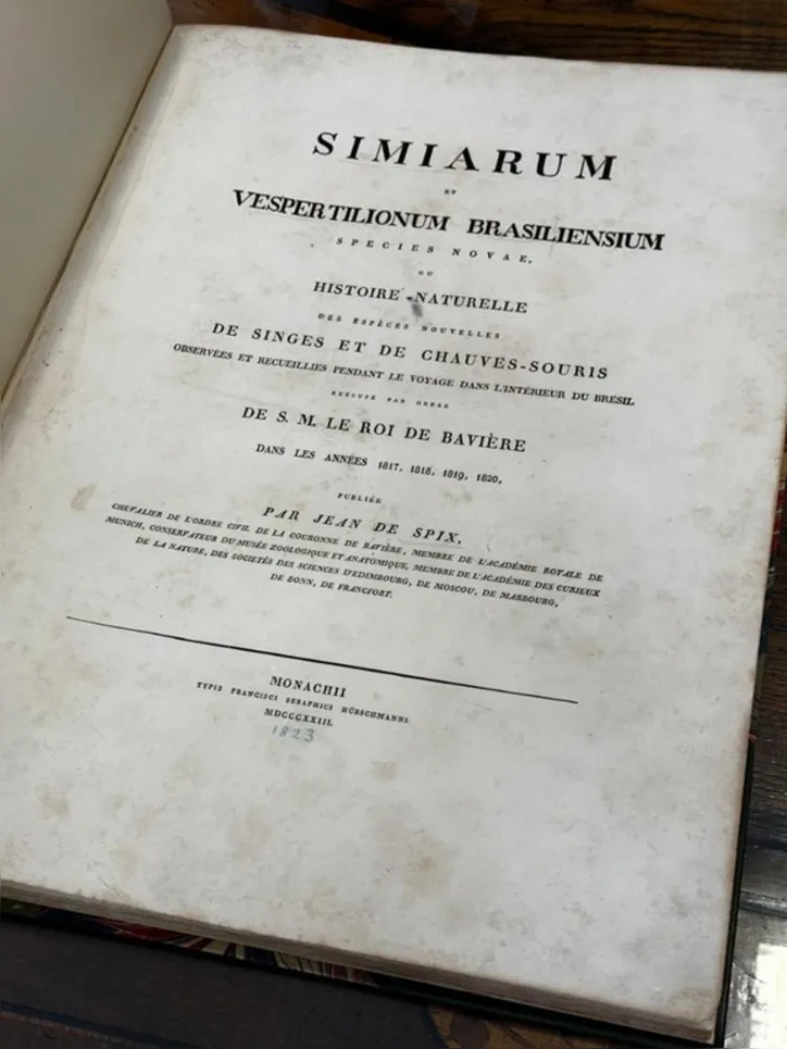 Obra recuperada é um dos exemplares de uma coletânea produzida pelo autor sobre a fauna e a flora brasileiras, com foco predominante em macacos.