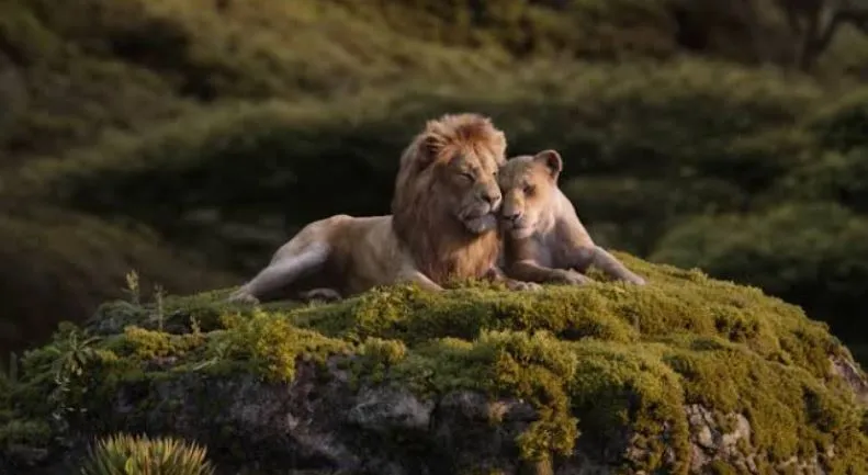 Simba e Nala se casam