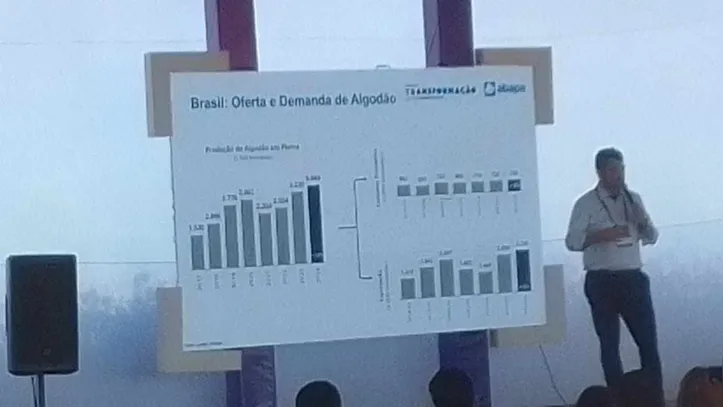 Imagem ilustrativa da imagem Brasil quer posicionar algodão como líder no mercado de fibras têxteis