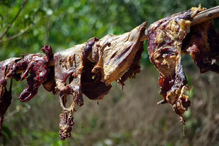 Imagem ilustrativa da imagem Carne seca e 2 de Julho: homenagem à tradição, história e resistência