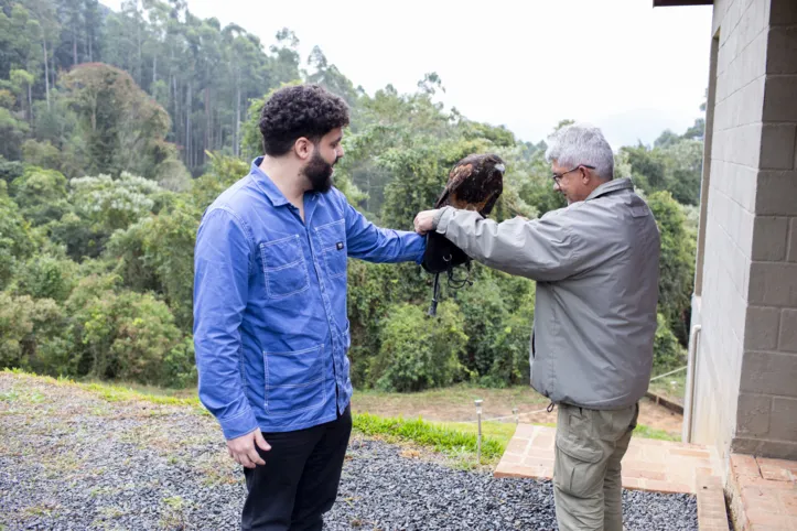 Contato com as aves de rapina é direto