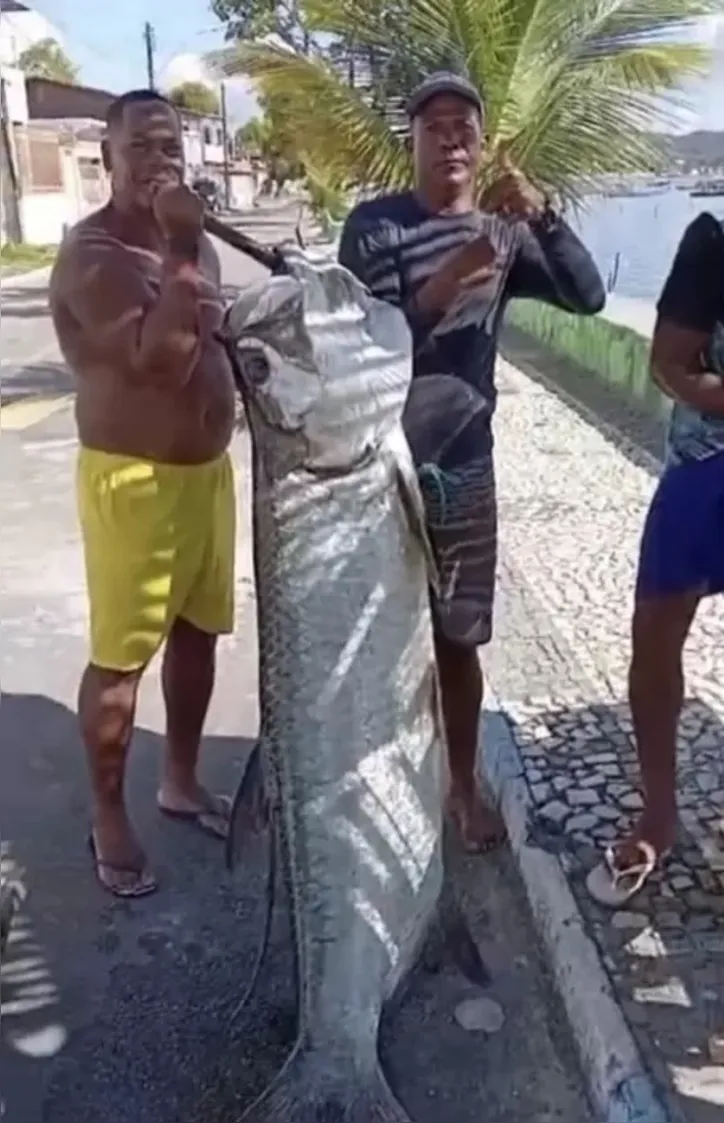 Jejeu relatou ainda que só pegou o peixe porque estava acompanhado dos amigos