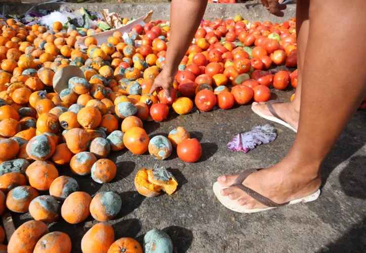 Imagem ilustrativa da imagem Ações combatem o desperdício e a fome na Bahia