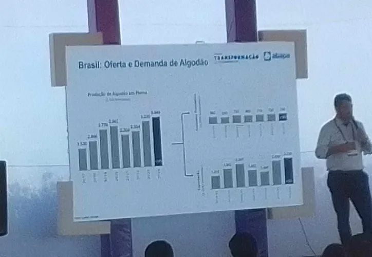 Imagem ilustrativa da imagem Brasil quer posicionar algodão como líder no mercado de fibras têxteis