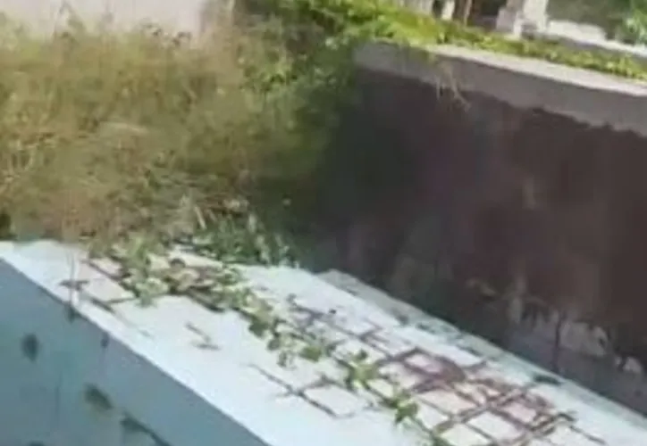 Imagem ilustrativa da imagem Prefeitura de Entre Rios abandona cemitério municipal