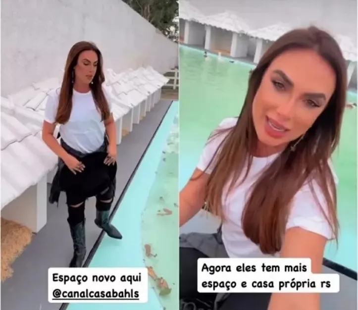 Imagem ilustrativa da imagem Nicole Bahls dá presente inusitado aos seus patos e gansos; veja