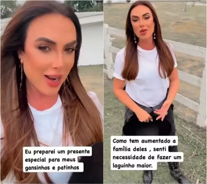 Imagem ilustrativa da imagem Nicole Bahls dá presente inusitado aos seus patos e gansos; veja