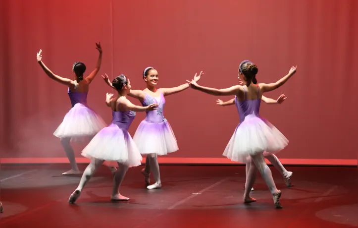 Para todos verem: Cinco dançarinas estão de braços erguidos. Elas usam um tutu rosa e um collant lilás